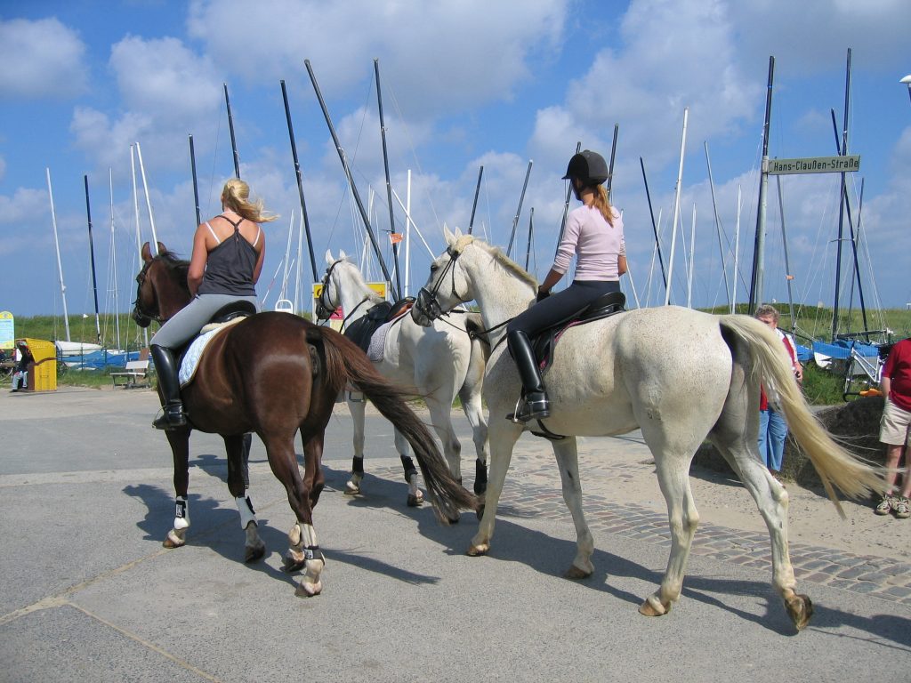 2007 Elben og Weser 3 Elbe Weser 1 093