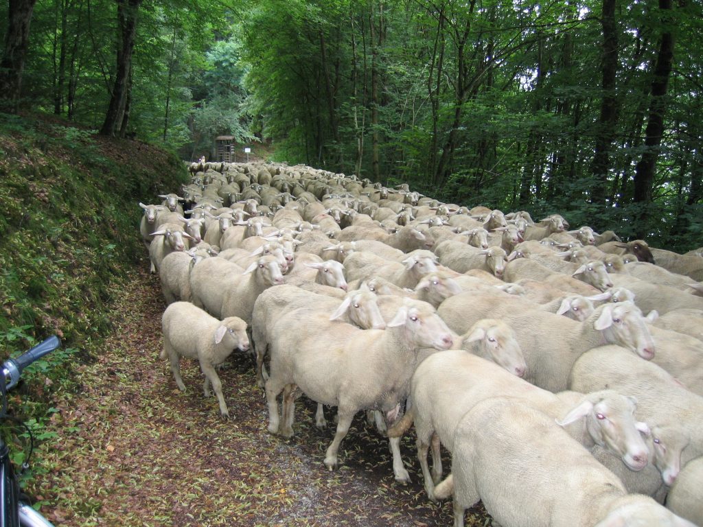 InnRadweg InnRadweg